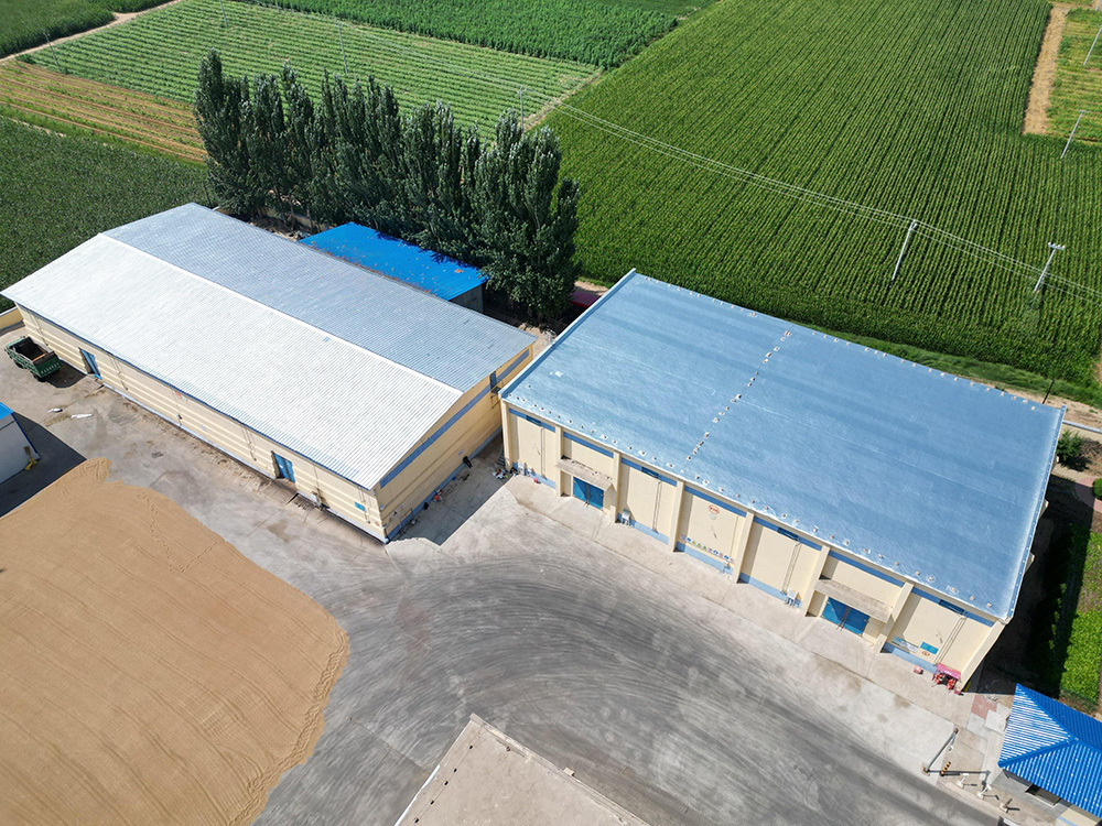 Grain Storage Depot Roof Project in Ordos, Inner Mongolia